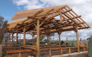 Roundwood timber frame for single storey house.