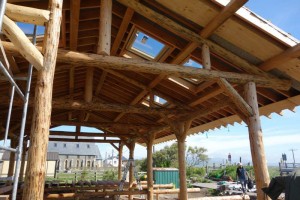 Roundwood timber frame for single storey house.