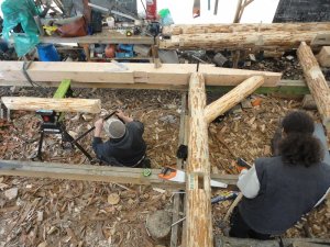 View of roundwood timber frame construction.
