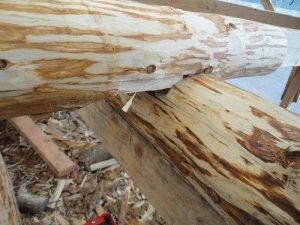 Roundwood timber frame techniques.