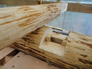 Roundwood timber frame techniques.
