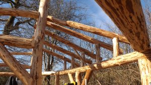 Round house rafters.