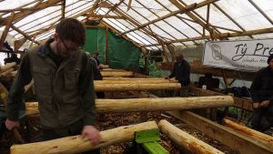 Tree to Frame course Ceredigion.
