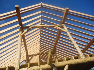Looking through the rafters of roundwood timber frame.