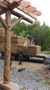 Unloading the strawbales at Longwood visitor centre.